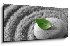 Sklenn obraz 1D panorama - 120 x 50 cm F_AB5482325 - Zen garden