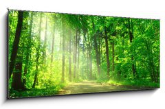 Sklenn obraz 1D panorama - 120 x 50 cm F_AB55128524 - Waldweg mit Sonnenschein - Lesn cesta se sluncem