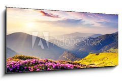 Sklenn obraz 1D panorama - 120 x 50 cm F_AB56511624 - nature