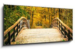 Obraz 1D - 120 x 50 cm F_AB57169928 - Bridge in autumn park