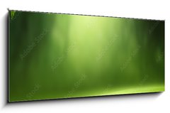 Skleněný obraz 1D panorama - 120 x 50 cm F_AB57381095 - Spring forest background - Jarní lesní pozadí