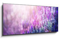 Skleněný obraz 1D panorama - 120 x 50 cm F_AB58716262 - Lavender Flowers Field. Growing and Blooming Lavender - Lavender Flowers Field. Pěstování a kvetoucí levandule