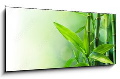 Skleněný obraz 1D panorama - 120 x 50 cm F_AB58926337 - bamboo stalks on water - stonky bambusu na vodě