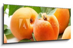 Obraz 1D panorama - 120 x 50 cm F_AB59284348 - Fresh apricots