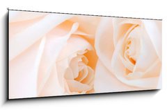 Obraz   Two delicate high key beige roses macro floral background, 120 x 50 cm