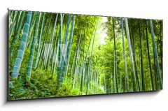 Obraz 1D panorama - 120 x 50 cm F_AB60510509 - Bamboo forest and walkway