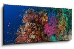 Sklenn obraz 1D panorama - 120 x 50 cm F_AB60562168 - Coral and fish