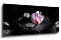 Skleněný obraz 1D panorama - 120 x 50 cm F_AB60629892 - Horizontal panorama with pink orchids and zen stones on black ba - Horizontální panorama s růžovými orchidejemi a zenovými kameny na černé ba