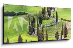 Obraz 1D panorama - 120 x 50 cm F_AB61217216 - Road with curves and cypresses in Tuscany, Italy