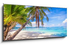 Obraz 1D panorama - 120 x 50 cm F_AB61258659 - Coconut Palm tree on the white sandy beach - Kokosov palma na bl psen pli
