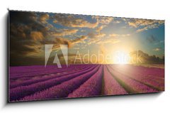 Obraz 1D panorama - 120 x 50 cm F_AB61346445 - Vibrant Summer sunset over lavender field landscape