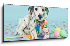 Sklenn obraz 1D - 120 x 50 cm F_AB62241227 - Easter Dalmatain Puppy