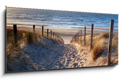 Obraz   path to North sea beach in gold sunshine, 120 x 50 cm