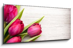 Skleněný obraz 1D panorama - 120 x 50 cm F_AB62462522 - Tulip. - Tulipán.