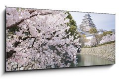 Obraz 1D panorama - 120 x 50 cm F_AB62623940 - Japanese cherry blossoms and castle in spring