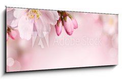 Obraz 1D panorama - 120 x 50 cm F_AB62918390 - Spring flowers background with pink blossom