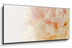 Obraz 1D panorama - 120 x 50 cm F_AB63089306 - pink peony