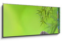Sklenn obraz 1D panorama - 120 x 50 cm F_AB63091641 - dcor relaxant zen asiatique : bambou et galets - dcor relaxant zen asiatique: bambou et galets