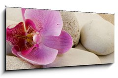 Sklenn obraz 1D panorama - 120 x 50 cm F_AB6339584 - Orchidee mit Kieseln