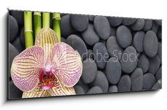 Obraz   Gorgeous orchid and thin bamboo grove on pebbles, 120 x 50 cm