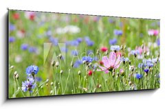 Obraz 1D panorama - 120 x 50 cm F_AB64247730 - prairie fleurie - prrie fleurie