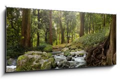 Obraz   forest waterfall, 120 x 50 cm