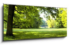 Sklenn obraz 1D panorama - 120 x 50 cm F_AB64432379 - Lush forest - Sv les