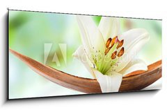 Obraz 1D - 120 x 50 cm F_AB64734050 - Beautiful white lily flower on a coco palm leaf