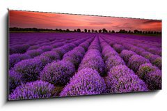 Obraz 1D panorama - 120 x 50 cm F_AB64900250 - Stunning landscape with lavender field at sunset