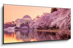 Obraz 1D - 120 x 50 cm F_AB64932334 - the Jefferson Memorial during the Cherry Blossom Festival