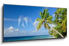 Sklenn obraz 1D panorama - 120 x 50 cm F_AB64951147 - Strand mit Palmen