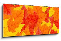 Skleněný obraz 1D panorama - 120 x 50 cm F_AB6504633 - autumn leaves - podzimní listí