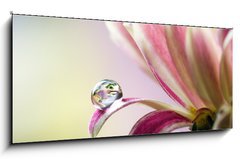 Obraz   Flower, 120 x 50 cm