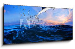 Sklenn obraz 1D panorama - 120 x 50 cm F_AB65260791 - sailfish flying over blue sea ocean