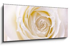 Sklenn obraz 1D panorama - 120 x 50 cm F_AB65495863 - 