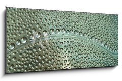 Obraz 1D panorama - 120 x 50 cm F_AB65581429 - waterdrops - kapky vody