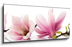 Sklenn obraz 1D panorama - 120 x 50 cm F_AB6579047 - flowers