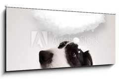 Sklenn obraz 1D panorama - 120 x 50 cm F_AB66240953 - Cute dog with empty cloud bubble