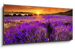 Obraz 1D panorama - 120 x 50 cm F_AB66255723 - Lavender - Levandule