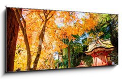 Obraz 1D panorama - 120 x 50 cm F_AB66639036 - Tanzan Shrine - Svatyn Tanzan