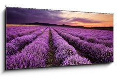 Obraz 1D panorama - 120 x 50 cm F_AB67101822 - Sunrise in Lavender Field