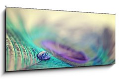 Skleněný obraz 1D - 120 x 50 cm F_AB67250571 - Peacock feather and drop - Pávové peří a pádu