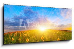 Sklenn obraz 1D panorama - 120 x 50 cm F_AB67337702 - Morning sunflower field