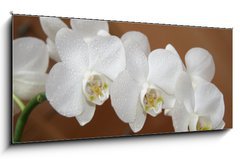 Obraz   orchidea, 120 x 50 cm