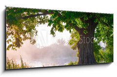 Obraz 1D - 120 x 50 cm F_AB67675896 - Oak tree in full leaf in summer standing alone