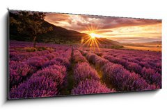 Obraz   Stunning landscape with lavender field at sunrise, 120 x 50 cm