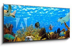 Obraz 1D panorama - 120 x 50 cm F_AB68530036 - underwater panorama of a tropical reef in the caribbean