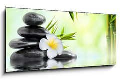 Skleněný obraz 1D panorama - 120 x 50 cm F_AB68618057 - spa massage treatment in garden with frangipani and bamboo - lázeňská masáž v zahradě s keři a bambusem