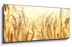 Sklenn obraz 1D panorama - 120 x 50 cm F_AB68789601 - zbo  e - zbo e