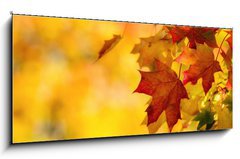 Skleněný obraz 1D panorama - 120 x 50 cm F_AB68808706 - Colorful autumn maple leaves on a tree branch - Barevné podzimní javorové listy na větvi stromu